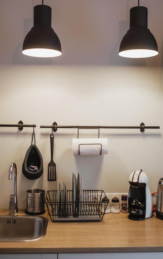 Rozenstein Design Apartment Brocēni エクステリア 写真