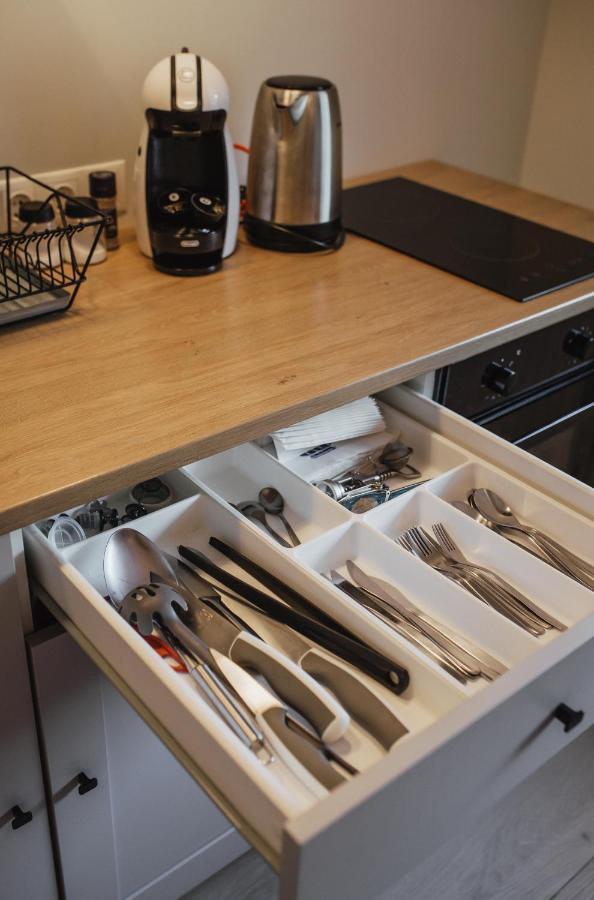 Rozenstein Design Apartment Brocēni エクステリア 写真