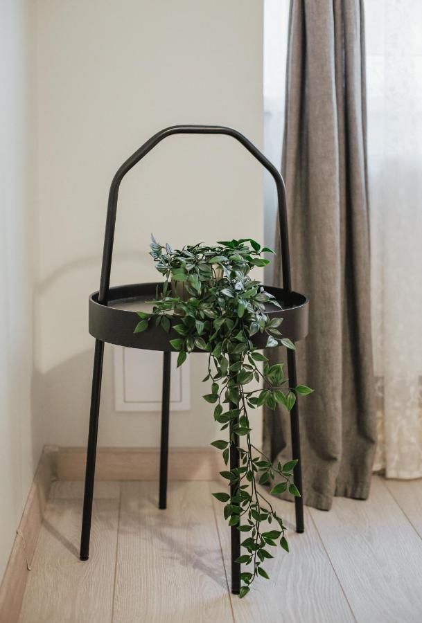 Rozenstein Design Apartment Brocēni エクステリア 写真